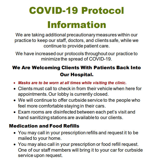 COVID Protocols Infographic